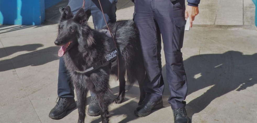 La Policía Local alista a un perro para combatir la droga en los colegios coruñeses