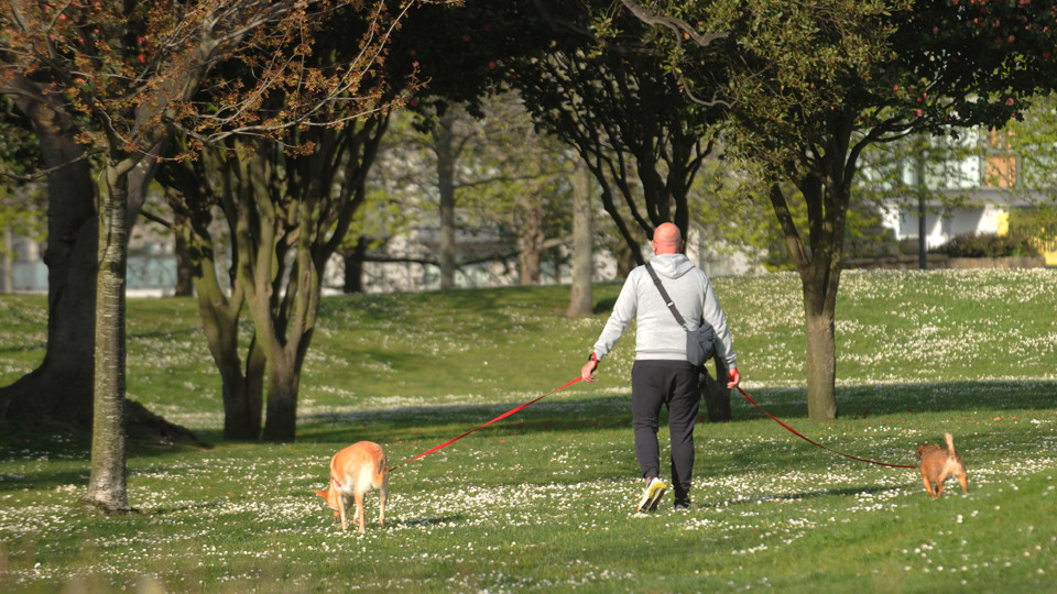 Un hombre se enfrenta a una multa de 750 euros por no recoger los excrementos de su perro en Cambre
