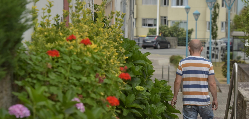 Los vecinos del Barrio de Las Flores cortarán sus problemas por la raíz