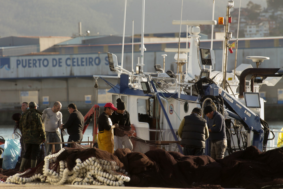 Barcos de pesca