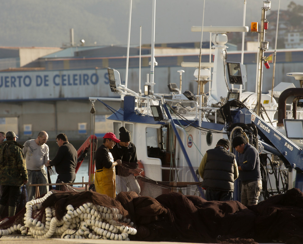 Barcos de pesca